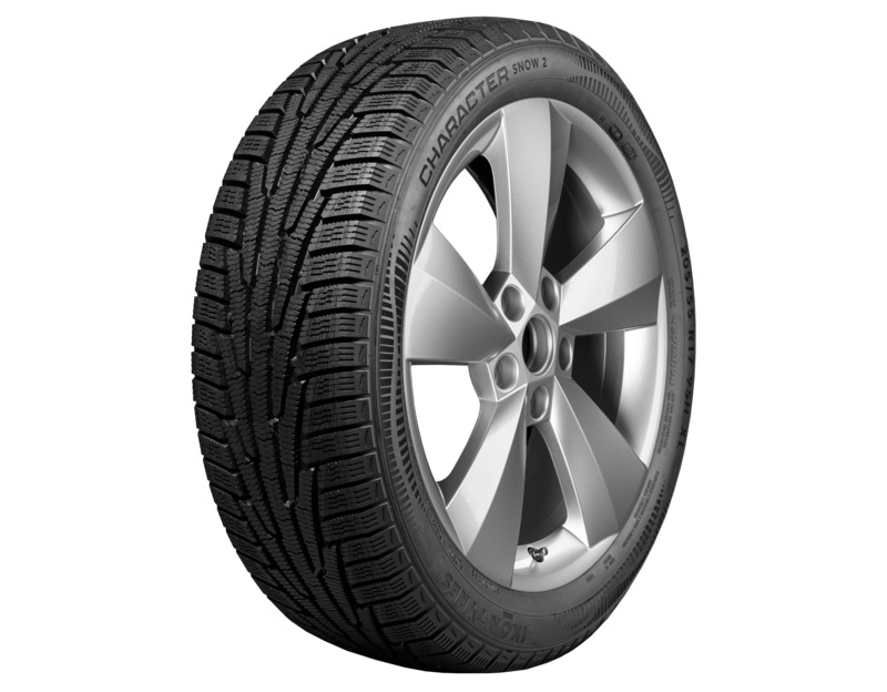 Ikon Character Snow 2 195/65R15 95R T742965 XL