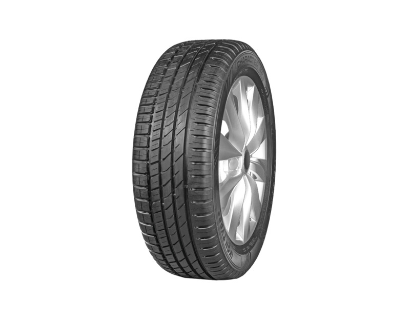 Ikon Character Eco 195/65R15 91H T743180 (T732329) 